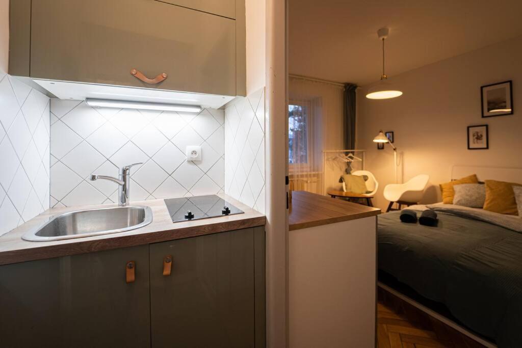 Mini Studio In Masaryk Quarter - Brno Apartment Exterior foto